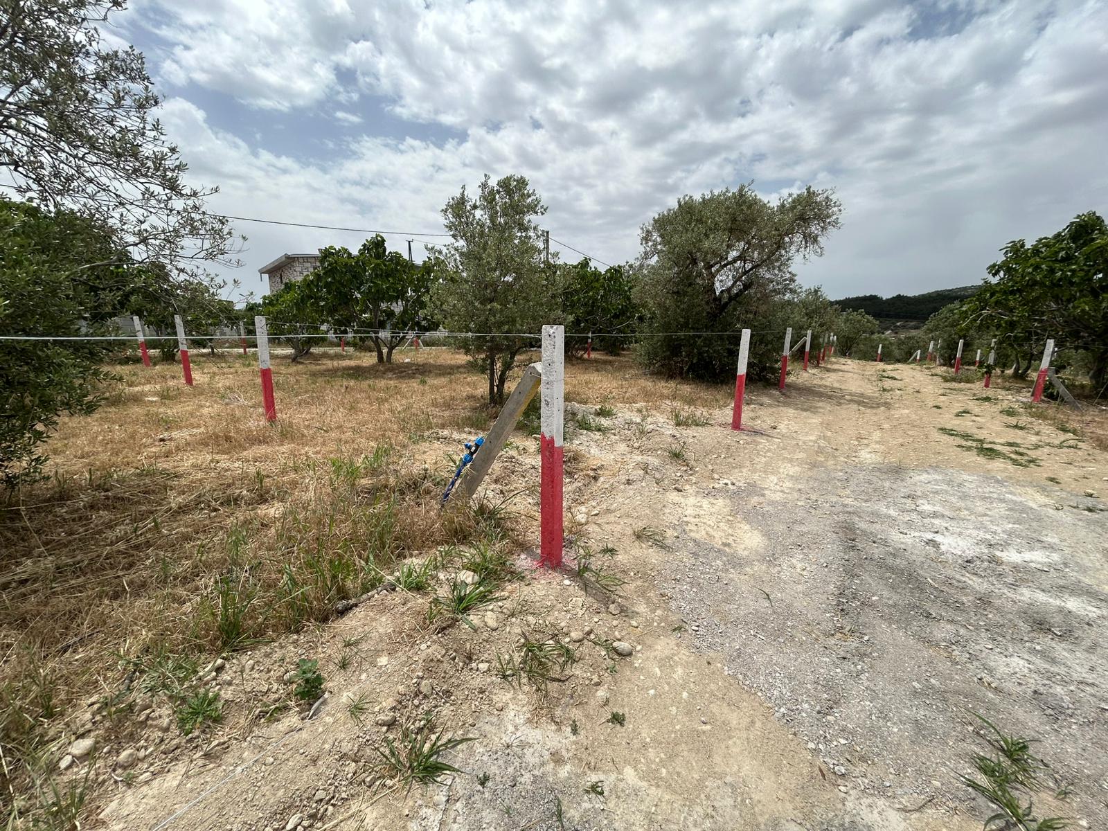 Modern şehir manzarası, mavi gökyüzü ve yeşil ağaçlarla geniş bir arka plan